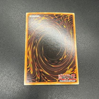 遊戯王　ブラック・マジシャン・ガール/シークレット/英語/1st/北米版