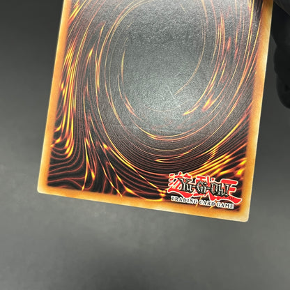 遊戯王　竜姫神サフィラ/レリーフ/ドイツ/EU版