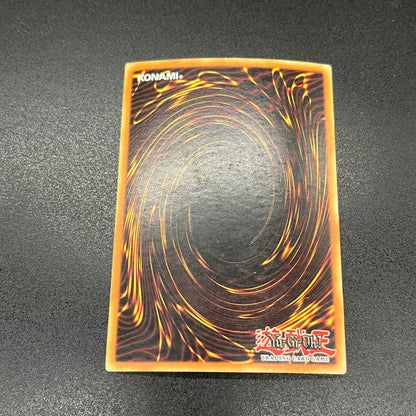 遊戯王　人喰い虫/スーパー/ドイツ/EU