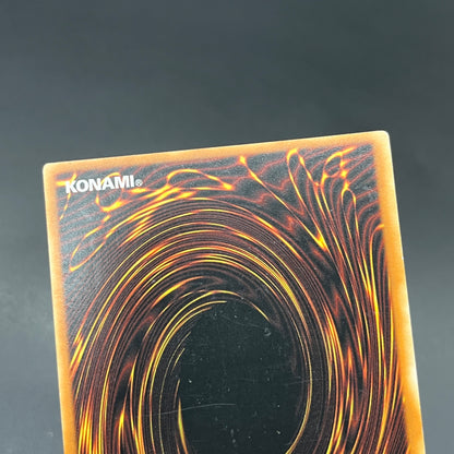 遊戯王　異次元の生還者/レリーフ/ドイツ語/1st/EU