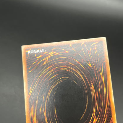 遊戯王　竜の交感/レリーフ/イタリア/1st/EU版