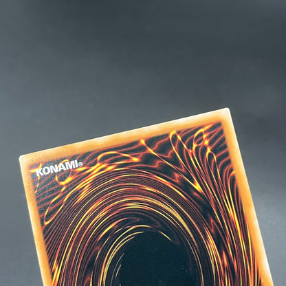 遊戯王　青眼の白龍/シークレット/英語/1st/EU版