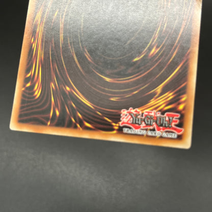 遊戯王　極神皇ロキ/レリーフ/スペイン/1st/EU版