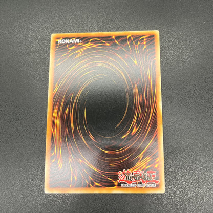 遊戯王　青眼の白龍/ウルトラ/ドイツ/1st/EU版