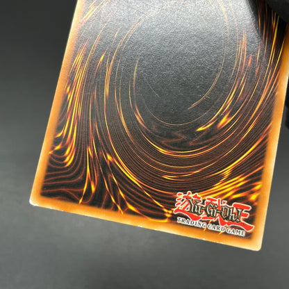 遊戯王　ジェネティック・ワーウルフ/レリーフ/ドイツ語/1st/EU版