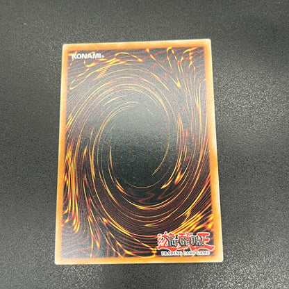 遊戯王　青眼の白龍/シークレット/英語/1st/EU版