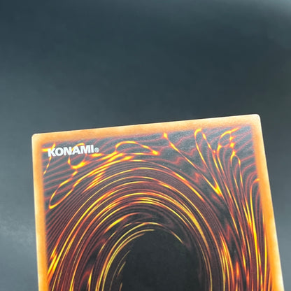 遊戯王　漆黒の魔王 ＬＶ６/レリーフ/ドイツ語/1st/EU