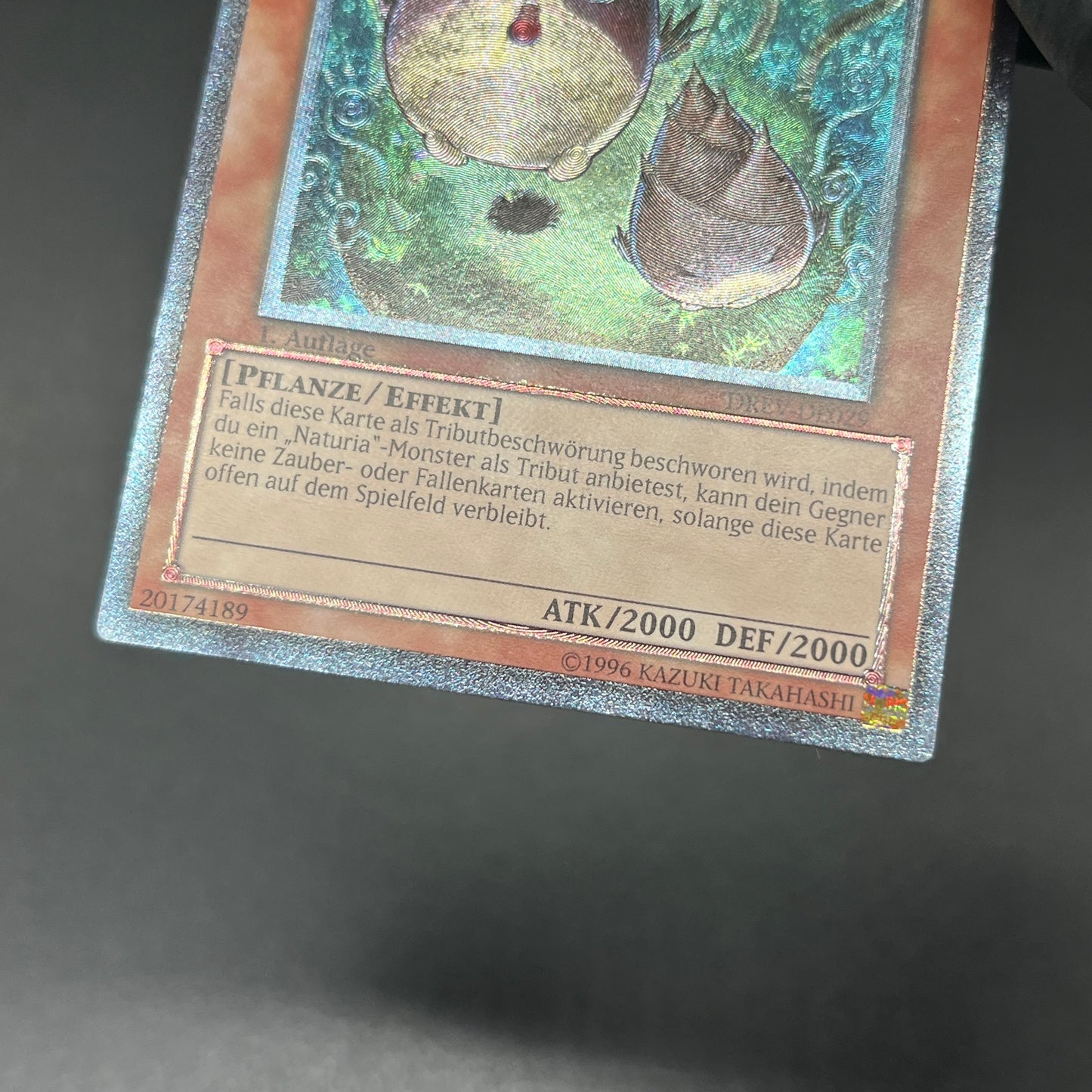 遊戯王　ナチュル・バンブーシュート/レリーフ/ドイツ/1st/EU版