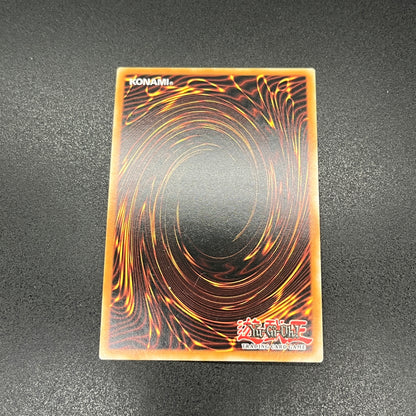 遊戯王　キングス・ナイト/コレクターズ/英語/1st/EU