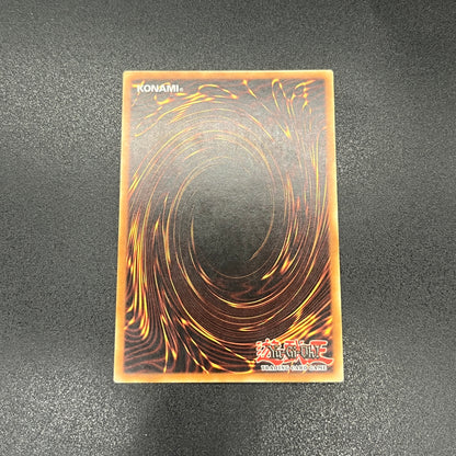 遊戯王　ＢＦ－孤高のシルバー・ウィンド/レリーフ/ドイツ/EU版