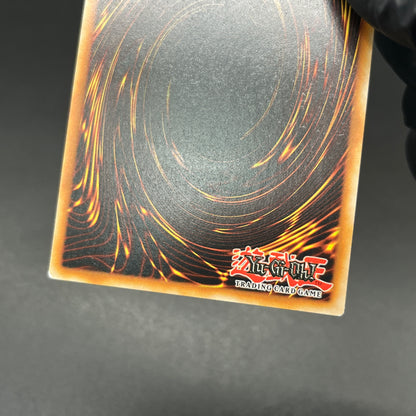 遊戯王　トゥーン・キングダム/レリーフ/英語/EU版