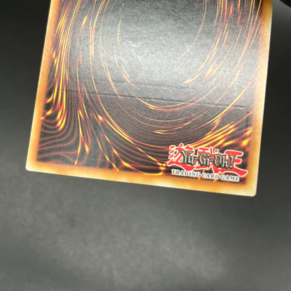 遊戯王　星輝士 デルタテロス/レリーフ/スペイン/1st/EU版