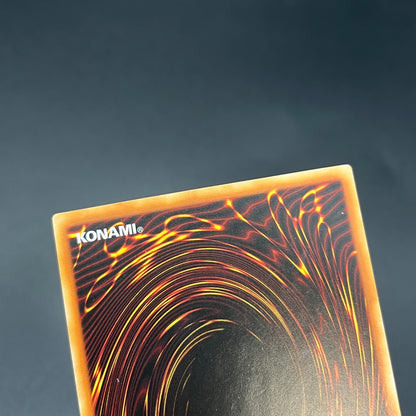 遊戯王　真紅眼の鋼炎竜/レリーフ/英語/1st/EU版