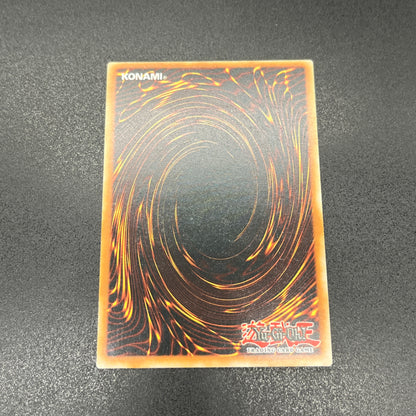 遊戯王　トゥーン・キングダム/レリーフ/英語/EU版