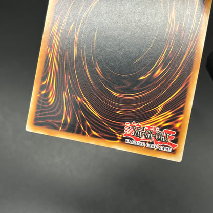 遊戯王　ブレイクスルー・スキル/レリーフ/スペイン/1st/EU版