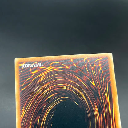 遊戯王　聖殿の水遣い/レリーフ/英語/EU版