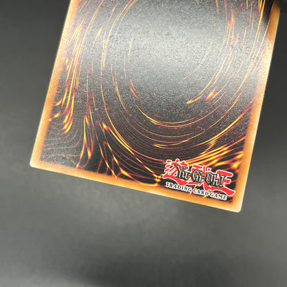 遊戯王　紅涙の魔ラクリモーサ/クオシク/英語/1st/EU版