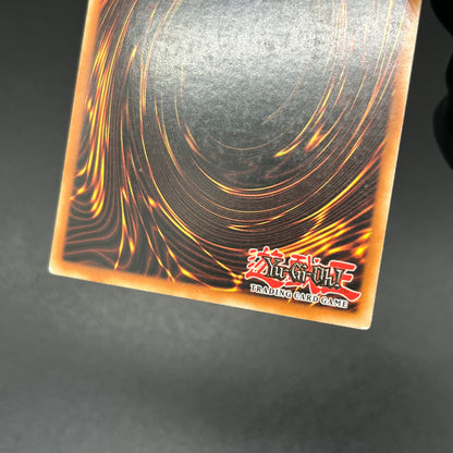 遊戯王　ブルーアイズ・トゥーン・ドラゴン/シークレット/ドイツ/EU版