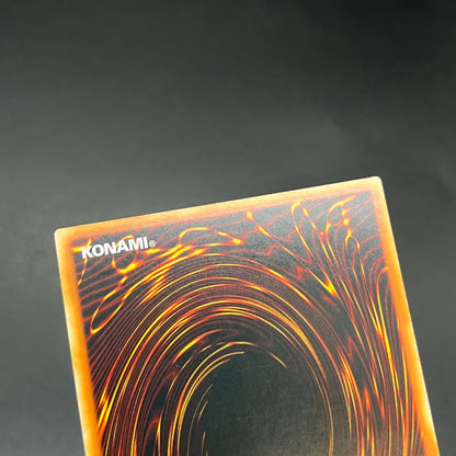 遊戯王　Ｎｏ.５３ 偽骸神 Ｈｅａｒｔ－ｅａｒｔＨ/レリーフ/ドイツ語/1st/EU版