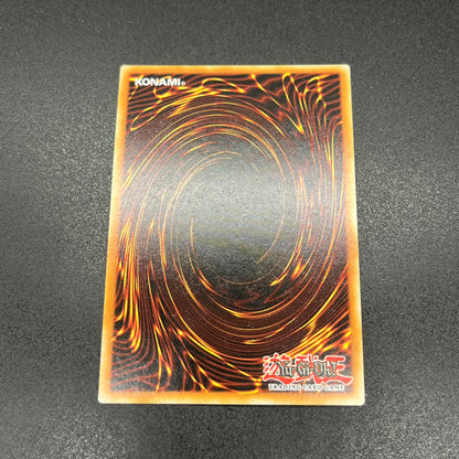 遊戯王　エクソシスター・ソフィア/コレクターズレア/英語/1st/EU版