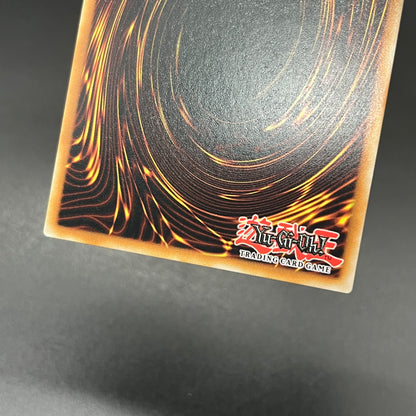 遊戯王　ハングリーバーガー/コレクターズレア/英語/EU版/1st