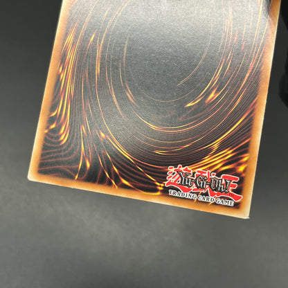 遊戯王　ダーク・ネフティス/レリーフ/ドイツ語/1st/EU版