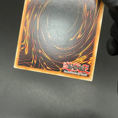 遊戯王　ファイアウォール・ドラゴン/レリーフ/ドイツ/EU版