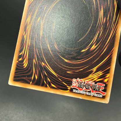 遊戯王　バブル・シャッフル/レリーフ/ドイツ語/EU版