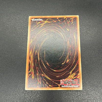 遊戯王　ブラック・マジシャン・ガール/クオシク/英語/1st/EU版