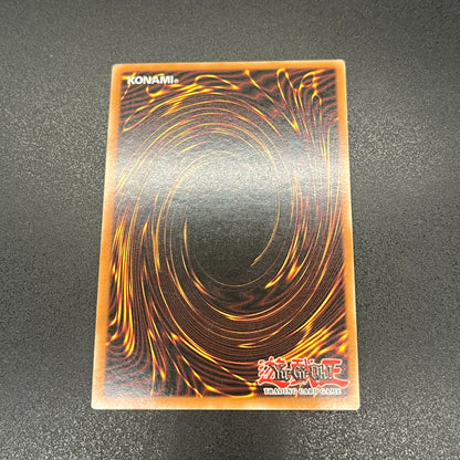 遊戯王　溶岩魔神ラヴァ・ゴーレム/シークレット/英語