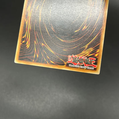 遊戯王　ピケルの魔法陣/レリーフ/ドイツ/EU版