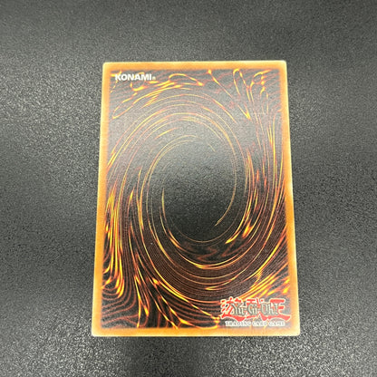 遊戯王　天罰/レリーフ/ドイツ/EU版