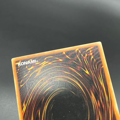 遊戯王　与奪の首飾り/レリーフ/ドイツ語/EU版