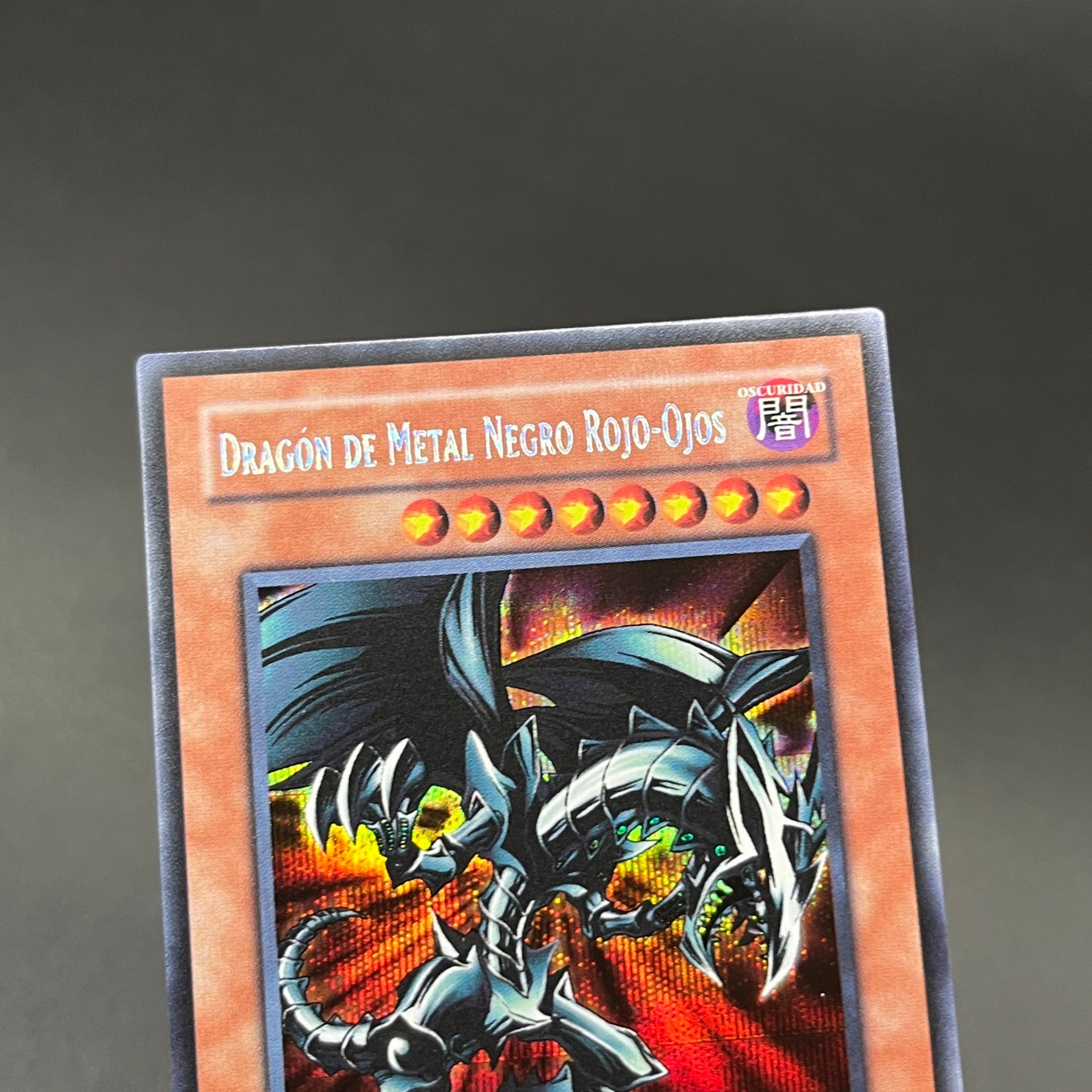 遊戯王　レッドアイズ・ブラックメタルドラゴン/シークレット/スペイン/EU版