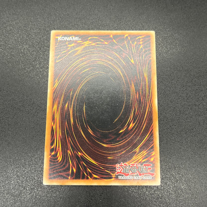 遊戯王　聖殿の水遣い/レリーフ/英語/EU版