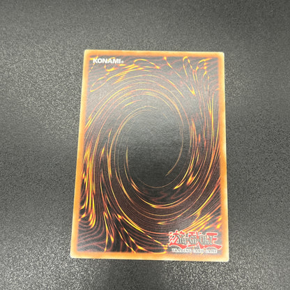 遊戯王　ネクロ・ガードナー/レリーフ/ドイツ/EU版