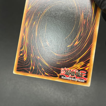 遊戯王　オベリスクの巨神兵/ファラオズウルトラ/英語/1st/EU版