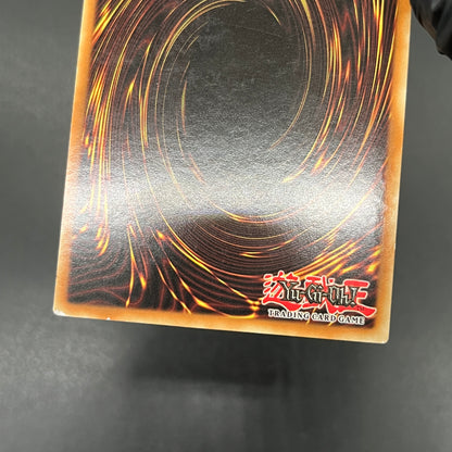 遊戯王　ブラック・マジシャン・ガール/シークレット/ドイツ語/EU