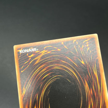 遊戯王　闇魔界の竜騎士 ダークソード/レリーフ/ドイツ語/EU