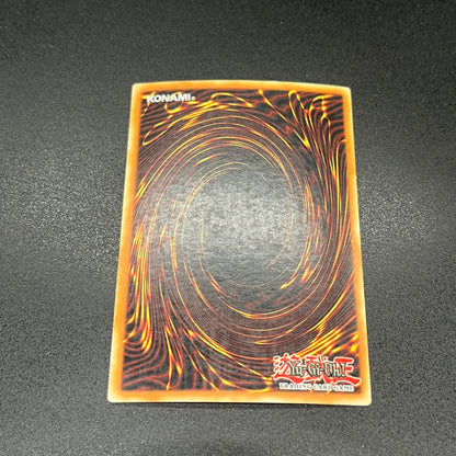 遊戯王　双頭の雷龍/スーパー/ドイツ/EU