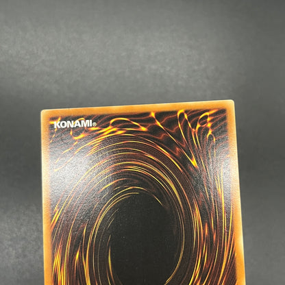 遊戯王　Ｅ・ＨＥＲＯ ワイルドジャギーマン/レリーフ/ドイツ語/EU版