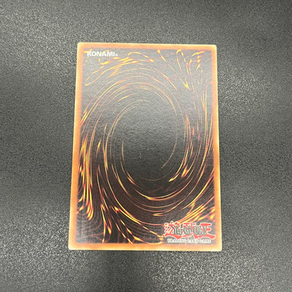 遊戯王　ヒーローアライブ/レリーフ/英語/北米版