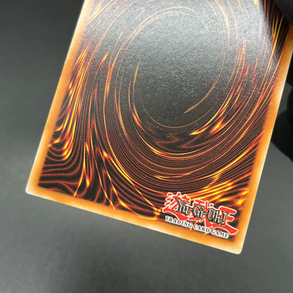 遊戯王　毒蛇神ヴェノミナーガ/コレクターズ/英語/1st/EU版