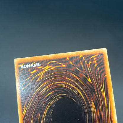 遊戯王　白き森のアステーリャ/クオシク/英語/1st/北米版