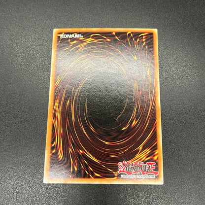 遊戯王　ブラック・マジシャン・ガール/シークレット/英語