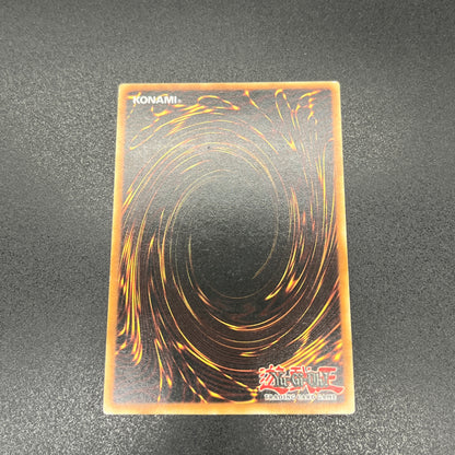 遊戯王　ライトニング・ボルテックス/レリーフ/ドイツ語/EU