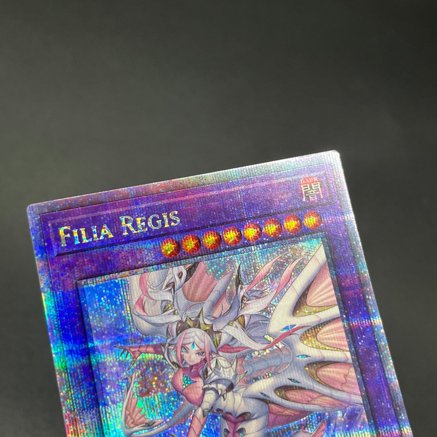 遊戯王　妖竜の禁姫/クオシク/英語/泰亜版