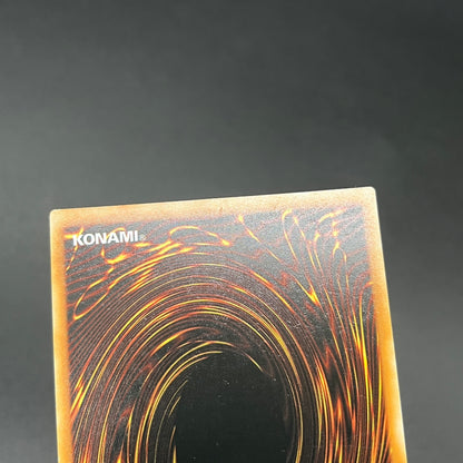 遊戯王　エクソシスター・パークス/コレクターズ/ドイツ/1st/EU版