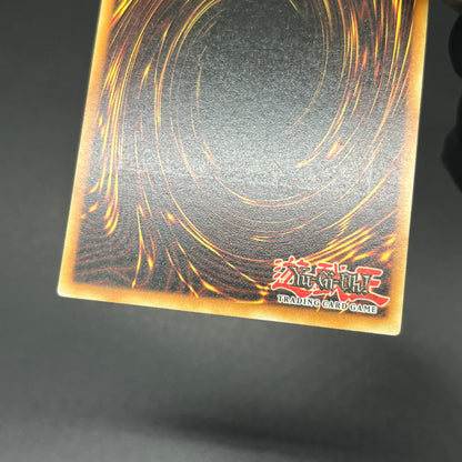 遊戯王　闇の護封剣/レリーフ/ドイツ語/EU版