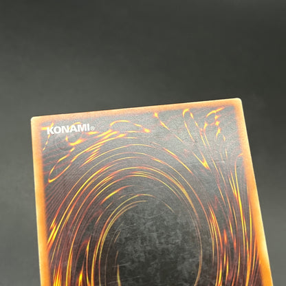 遊戯王　禁じられた聖杯/レリーフ/ドイツ/EU版